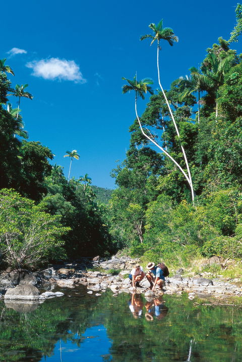 Airlie Beach To Cedar Creek Falls - Holiday Jervis Bay 1