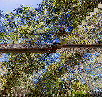 Bribie Island Bicentennial Trails - Holiday Jervis Bay
