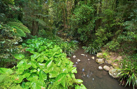 Brindle Creek Picnic Area - Holiday Jervis Bay 0