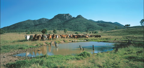 Bundaberg- Biggenden- Mount Perry Circle - Holiday Jervis Bay 0