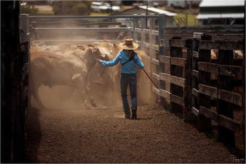 Bundaberg- Biggenden- Mount Perry Circle - Holiday Jervis Bay 1