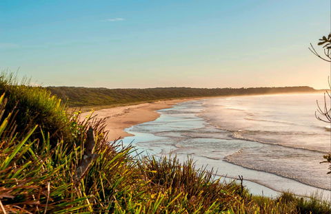 Burrawang Track - Conjola Beach To Buckleys Point - Holiday Jervis Bay 0