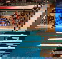 Dive Into History at Sydney Olympic Park Aquatic Centre - Holiday Jervis Bay
