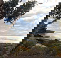 Fish Cannery Walking Trail - Holiday Jervis Bay