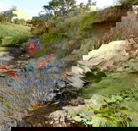 Gold Panning Deep Creek - Holiday Jervis Bay