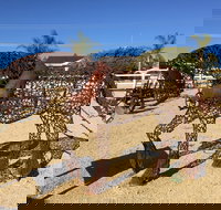 Gundersen Reserve - Holiday Jervis Bay