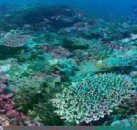 Hanging Rock Dive Site - Holiday Jervis Bay