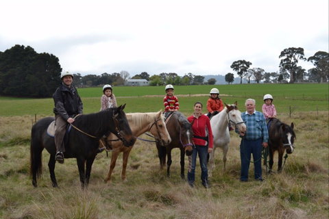 High Country Trail Rides - Holiday Jervis Bay 0