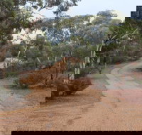 Karlkurla Bushland Park - Holiday Jervis Bay