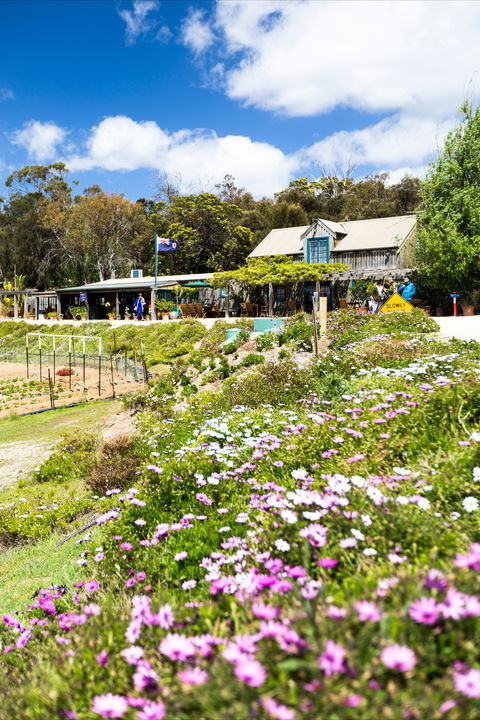 Kate's Berry Farm - Holiday Jervis Bay 0