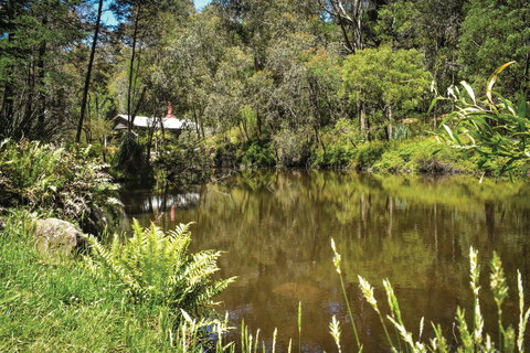 Kurth Kiln Regional Park - Holiday Jervis Bay 0