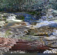 Liffey Falls Reserve - Holiday Jervis Bay