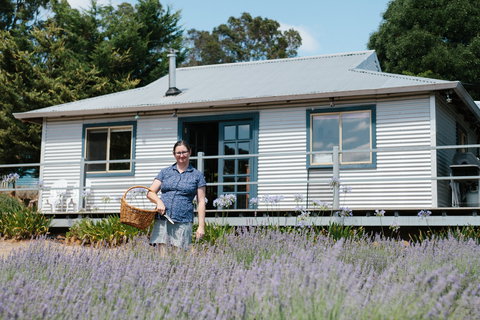 Nannup Lavender Farm - Holiday Jervis Bay 1