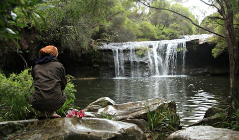 Nellies Glen Picnic Area - Holiday Jervis Bay 0