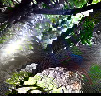 Scarborough Beach Park