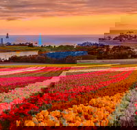 Table Cape - Holiday Jervis Bay