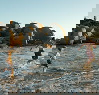 Venus Bay - Holiday Jervis Bay