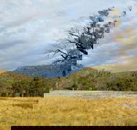 Weddin Mountains National Park - Holiday Jervis Bay