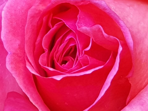 Abandon Stress Mobile Massage - Holiday Jervis Bay 0