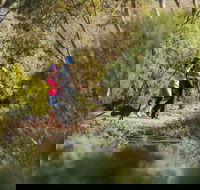 Australian Arid Lands Botanic Garden - Holiday Jervis Bay