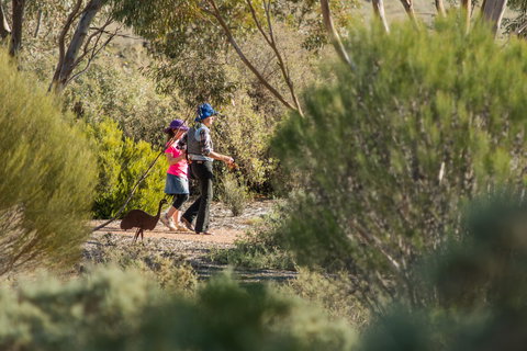 Australian Arid Lands Botanic Garden - Holiday Jervis Bay 0