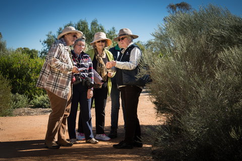 Australian Arid Lands Botanic Garden - Holiday Jervis Bay 2