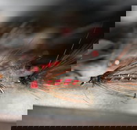 Australian Fly Fishing Museum - Holiday Jervis Bay