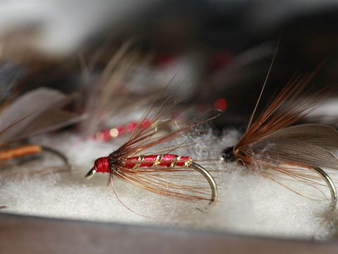 Australian Fly Fishing Museum - Holiday Jervis Bay 0