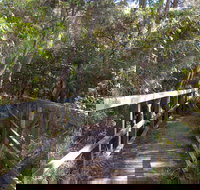 Awaba Bay Foreshore Walk - Holiday Jervis Bay