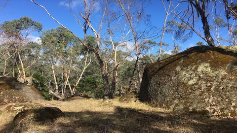 Bailey's Rocks - Dergholm State Park - Holiday Jervis Bay 0