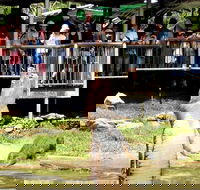 Crocodylus Park and Zoo - Holiday Jervis Bay