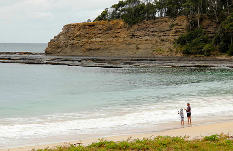 Depot Beach Picnic Area - Holiday Jervis Bay 0