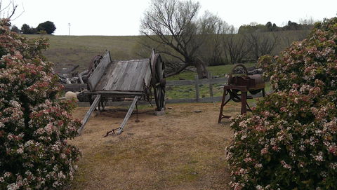 Early Settlers Hut - Holiday Jervis Bay 2