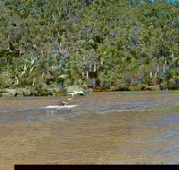 Fitzpatrick Park - Holiday Jervis Bay