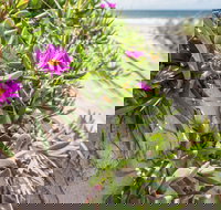 Fort Bribie - Holiday Jervis Bay