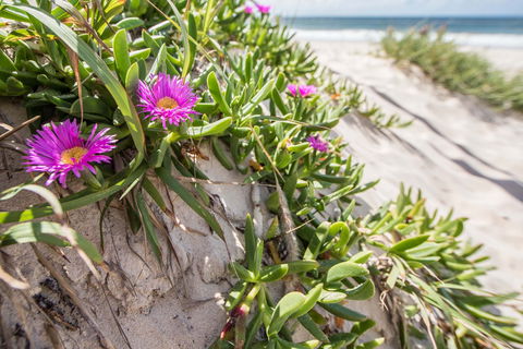 Fort Bribie - Holiday Jervis Bay 0