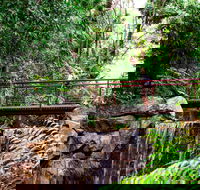 George Brown Darwin Botanic Gardens - Holiday Jervis Bay