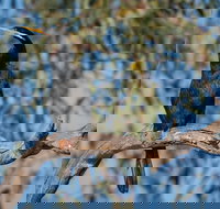 Greenough River Nature Trail - Holiday Jervis Bay