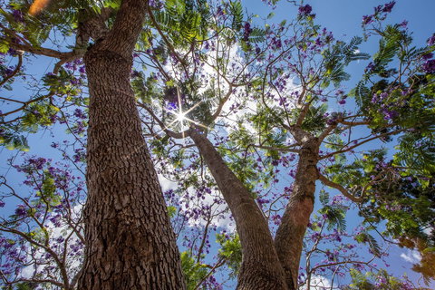 John Scott Park - Holiday Jervis Bay 1