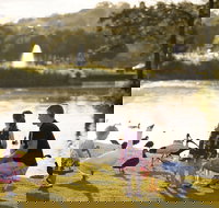 Lake Alford Recreational Park - Holiday Jervis Bay