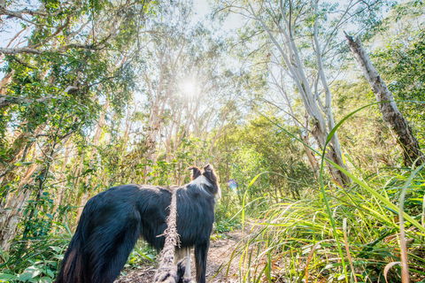 Lamb Island (Nguderoo) - Holiday Jervis Bay 1