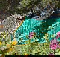 Living Legends The International Home of Rest for Champion Horses - Holiday Jervis Bay