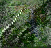 Mapleton Falls National Park - Holiday Jervis Bay