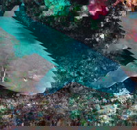 Middle Reef Dive Site - Holiday Jervis Bay