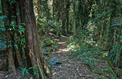 Pholis Gap Walking Track - Holiday Jervis Bay 0