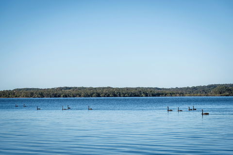 Queens Lake Picnic Area - Holiday Jervis Bay 1