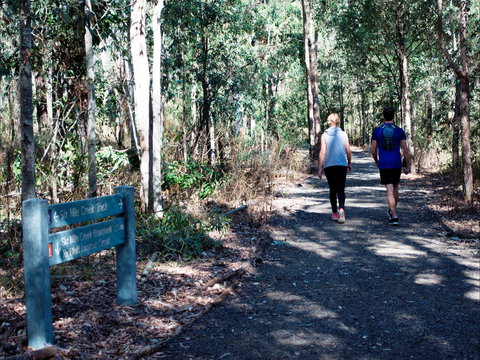 Six Mile Creek, Bluff Lookout And Little White Rock Trails - Holiday Jervis Bay 2