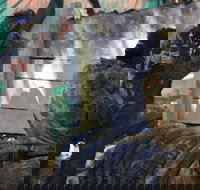 Skirmish Sunshine Coast Outdoor Paintball - Holiday Jervis Bay