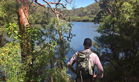 Sphinx Memorial To Bobbin Head Loop Track - Holiday Jervis Bay 0