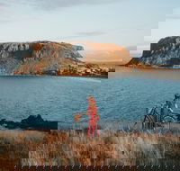 The Nut - Holiday Jervis Bay